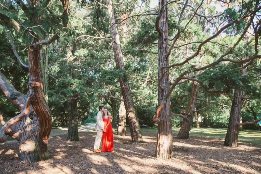 Photographe de mariage à Toulouse pour une séance day after avec Auriane et Victor au milieu des conifères des jardins des plantes