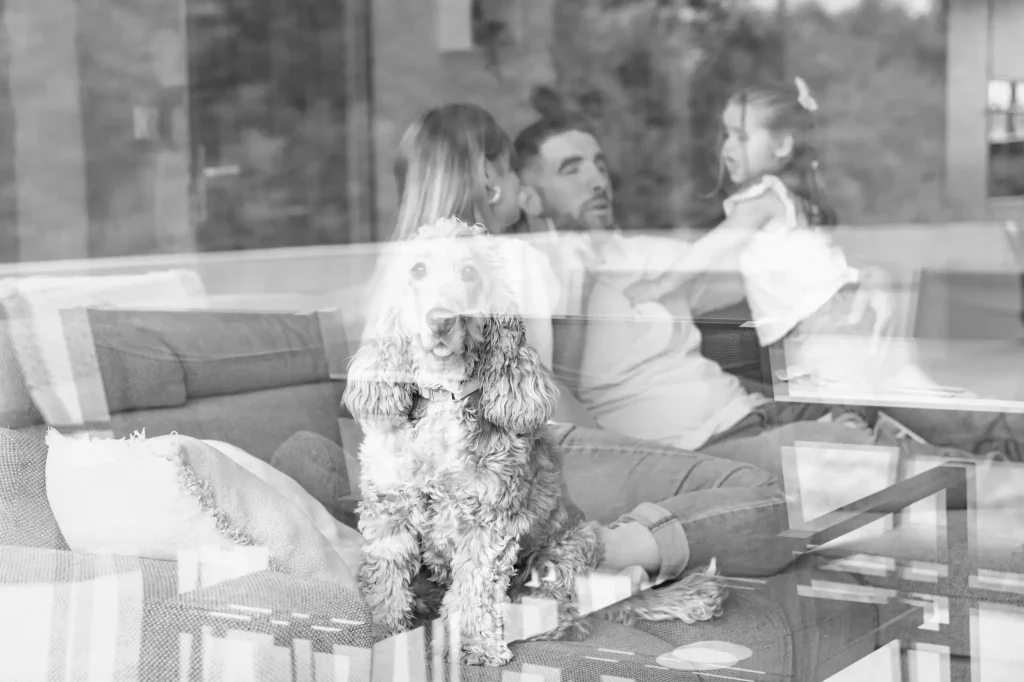 Séance photo famille à Toulouse avec une famille heureuse qui joue avec son chien sur le canapé