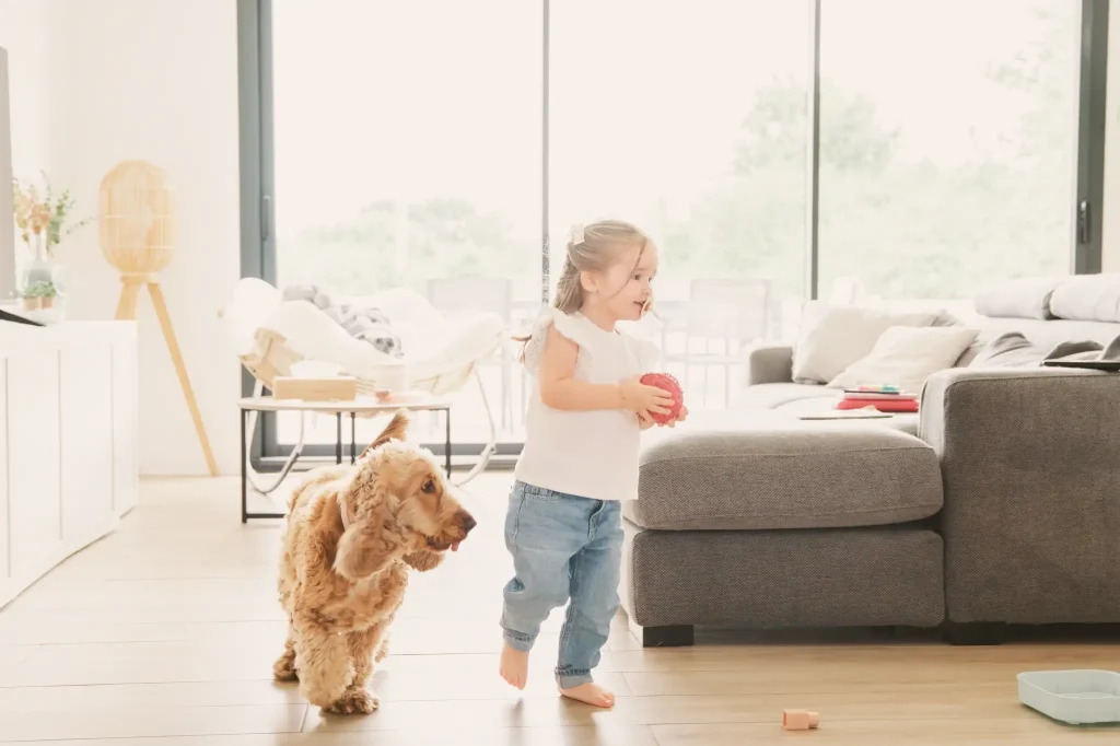 Séance photo famille à Toulouse, une course autour du canapé entre le chien et la petite fille qui tient la balle du cocker
