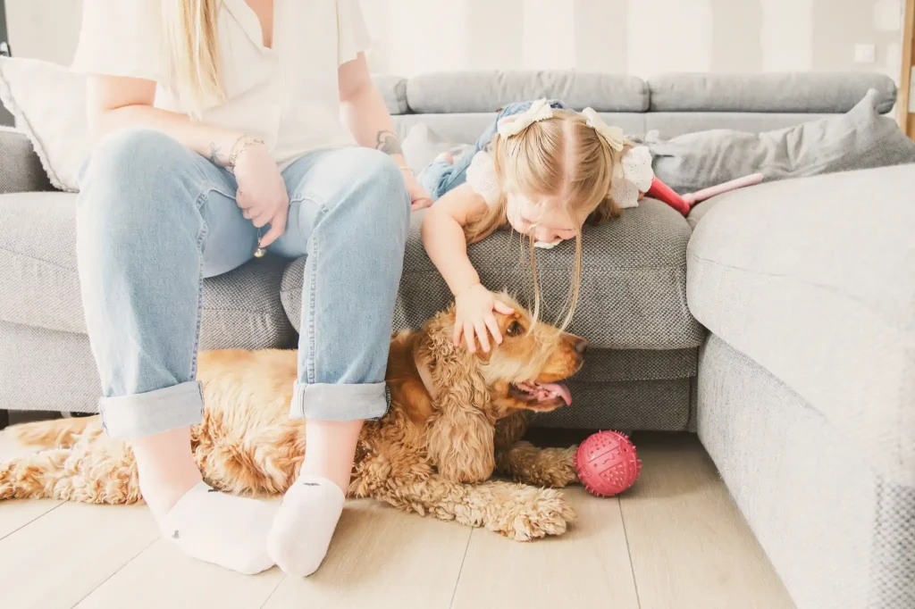 Séance photo famille à Toulouse avec quelques caresses pour le chien sur le canapé