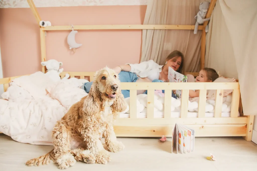 Séance photo grossesse à Toulouse, le chien contre le lit de la fille qui lit avec sa mère
